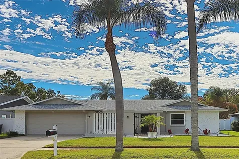 4104 Summerdale Drive Tampa FL 33624