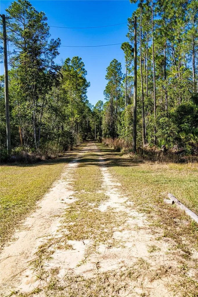 101 Thyme Drive Interlachen FL 32148