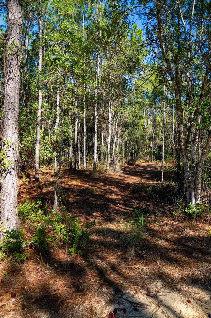 101 Thyme Drive Interlachen FL 32148