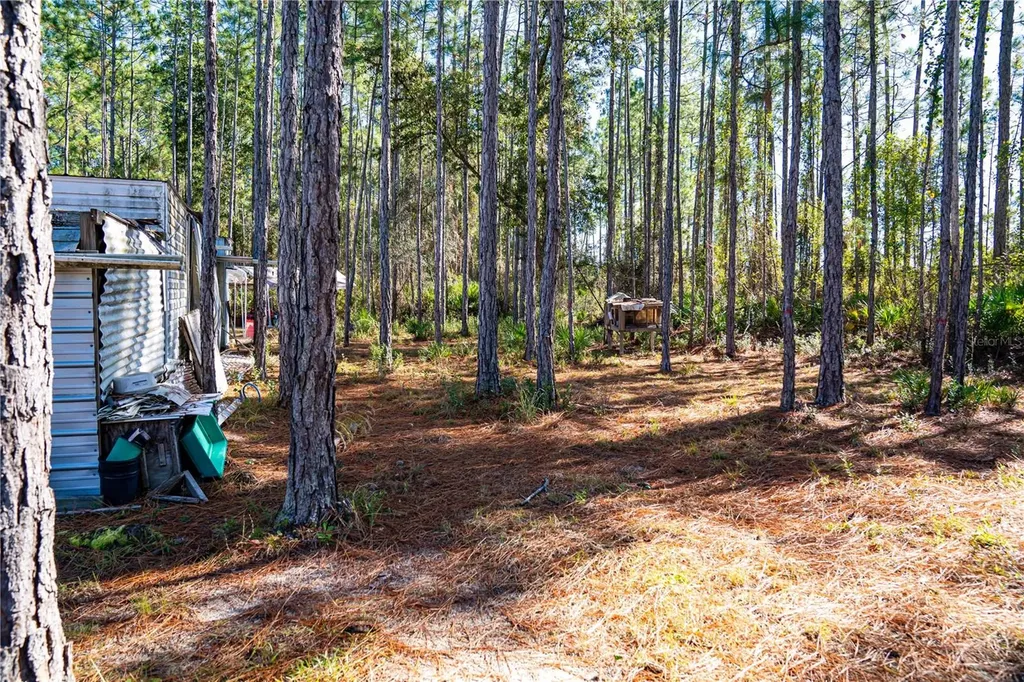 101 Thyme Drive Interlachen FL 32148
