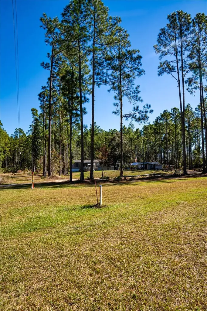 101 Thyme Drive Interlachen FL 32148