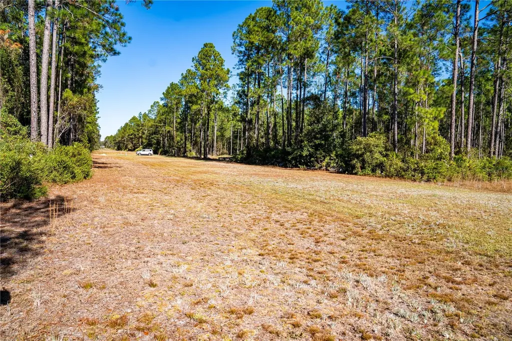 101 Thyme Drive Interlachen FL 32148