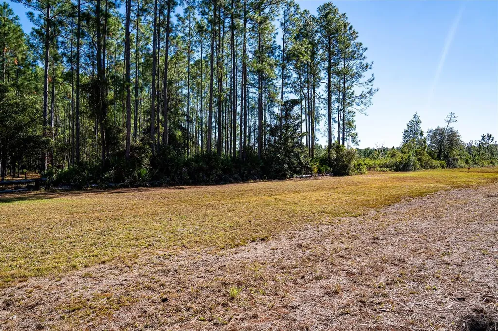 101 Thyme Drive Interlachen FL 32148