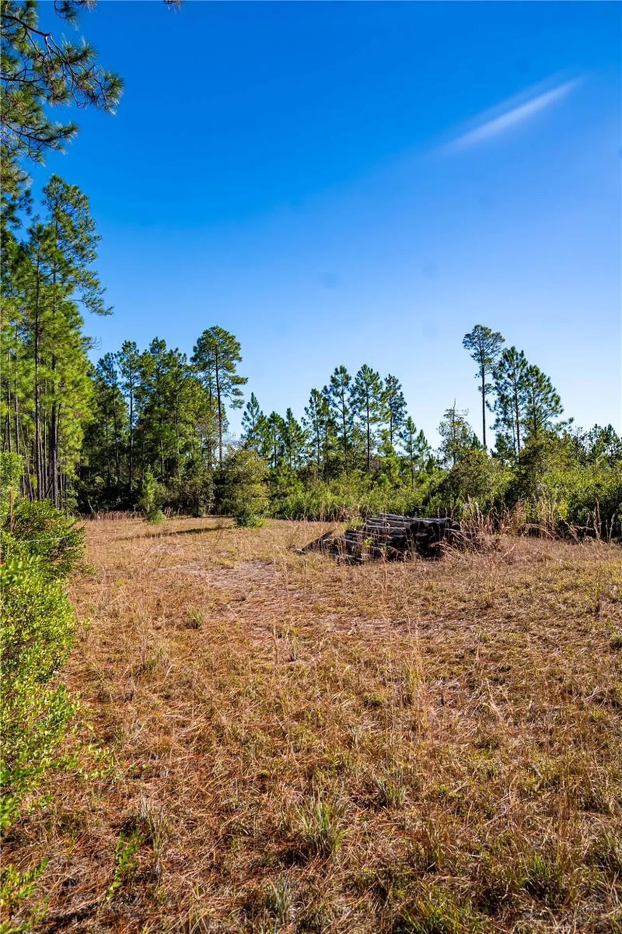 101 Thyme Drive Interlachen FL 32148