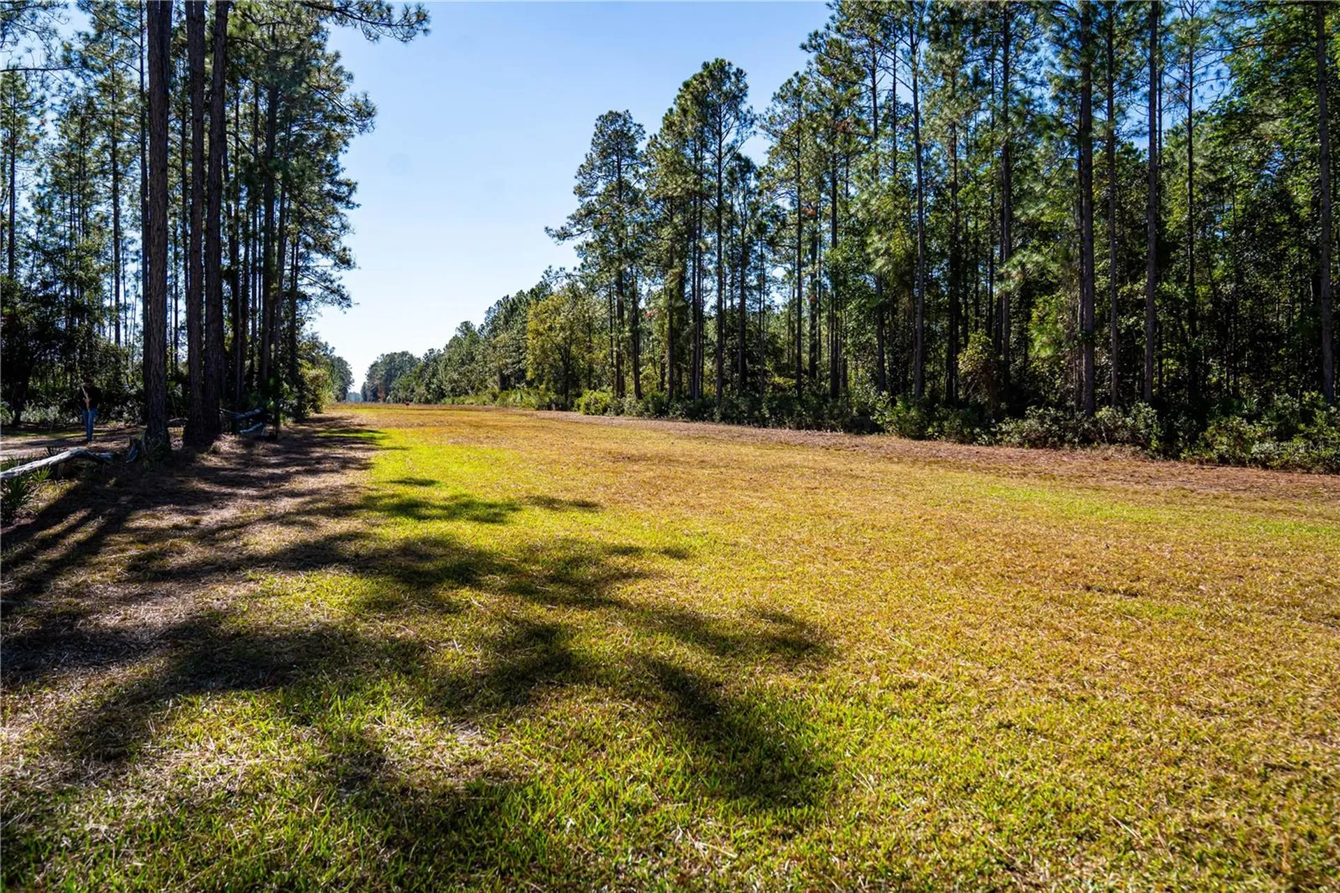 101 Thyme Drive Interlachen FL 32148