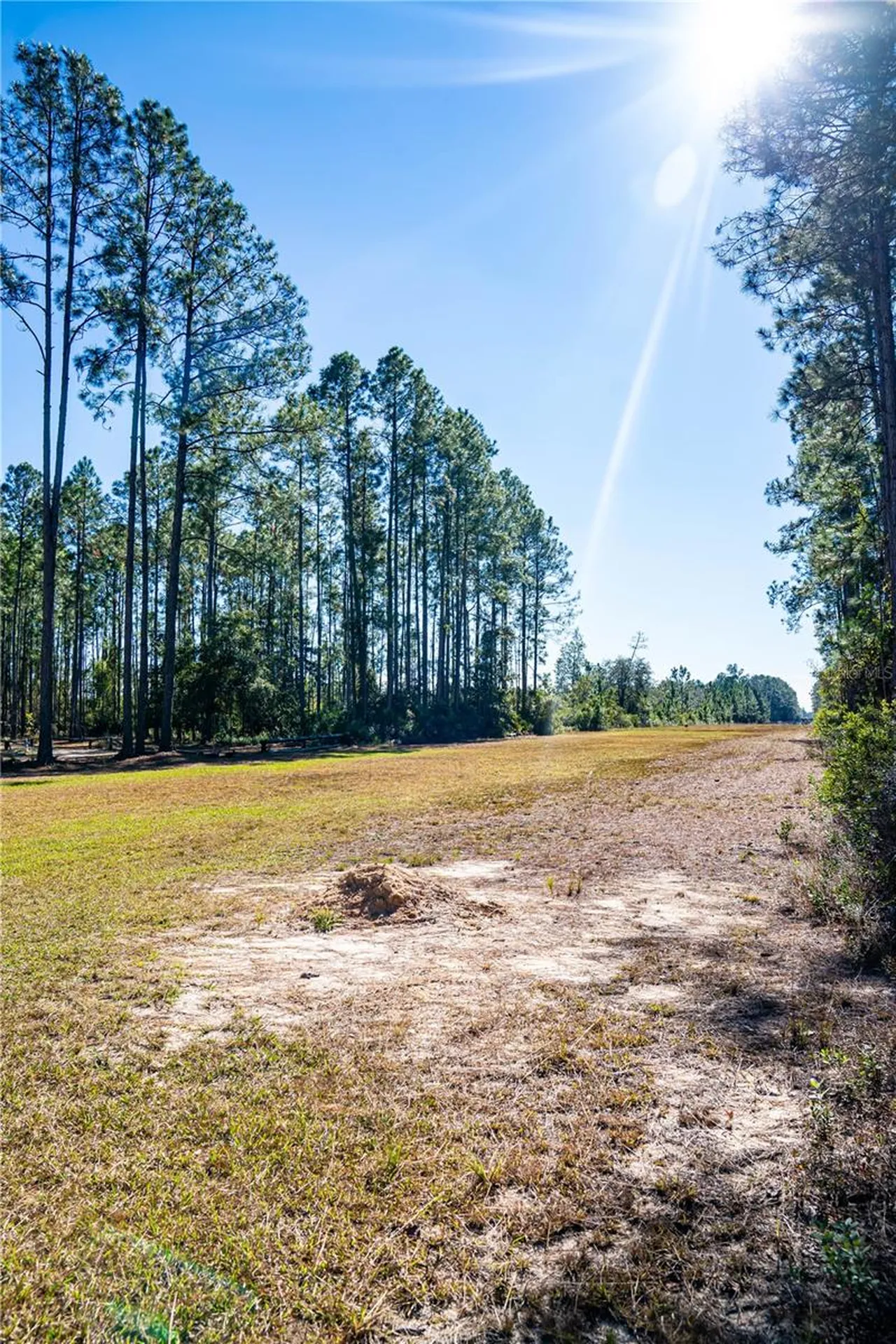 101 Thyme Drive Interlachen FL 32148