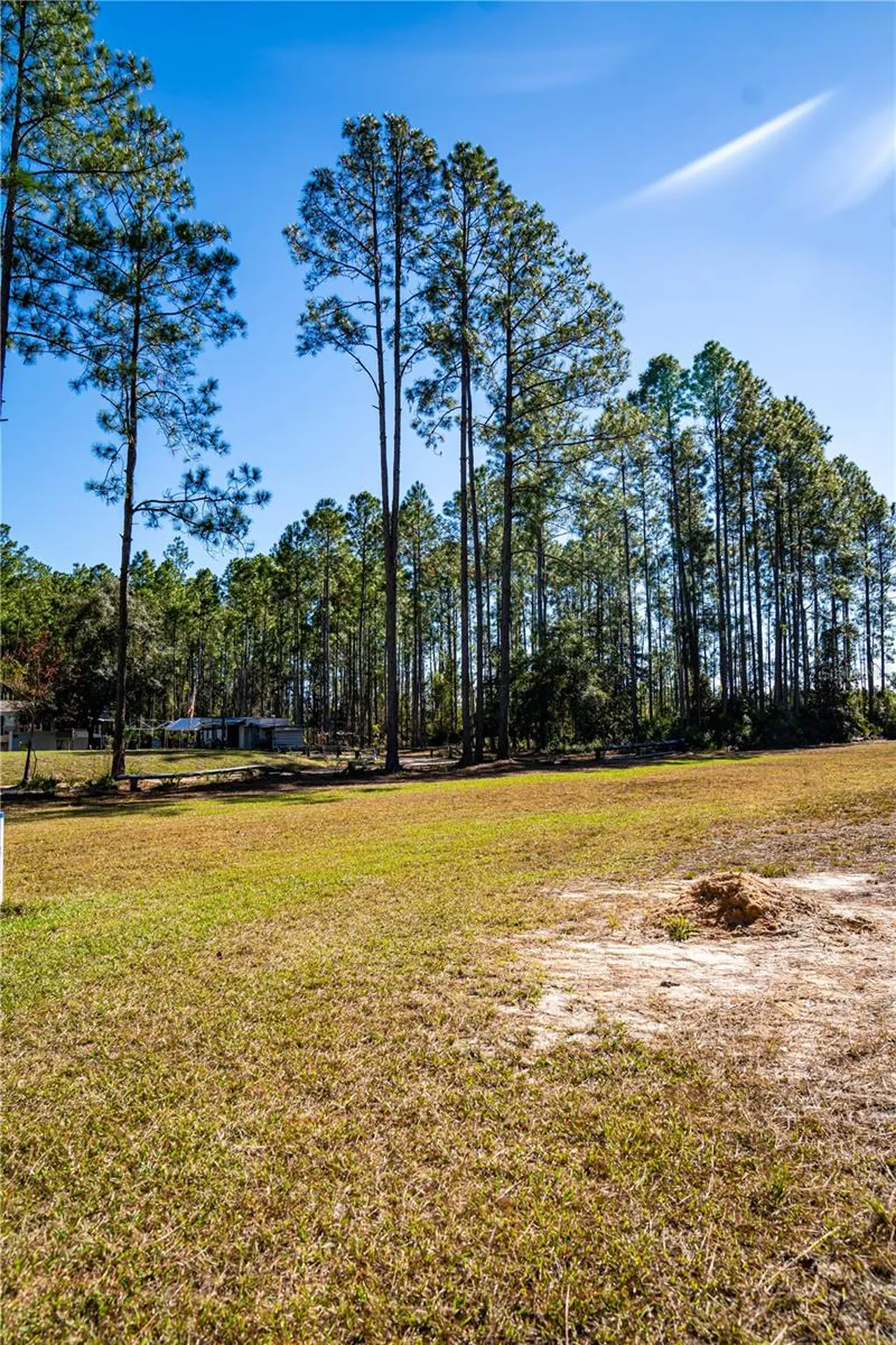101 Thyme Drive Interlachen FL 32148