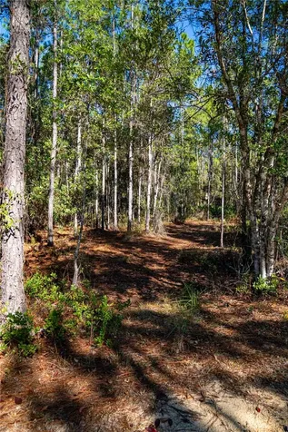 101 Thyme Drive Interlachen FL 32148
