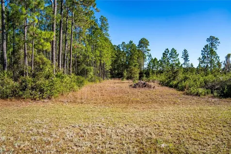 101 Thyme Drive Interlachen FL 32148