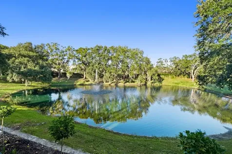9725 Chestnut Ridge Drive Windermere FL 34786
