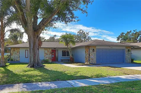 4106 Summerdale Drive Tampa FL 33624