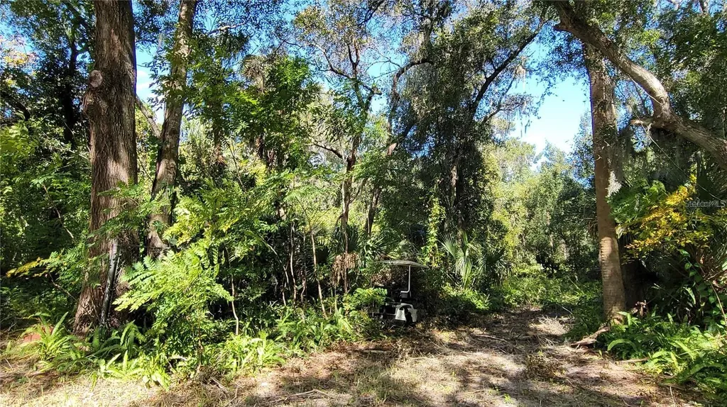 Lakeview Street Deland FL 32724
