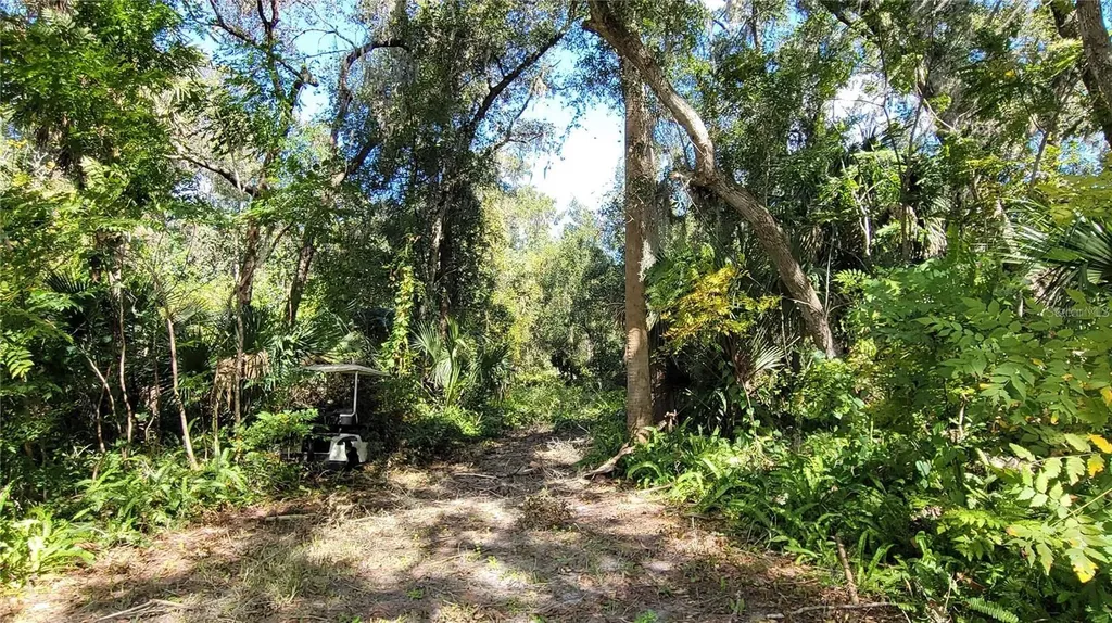 Lakeview Street Deland FL 32724