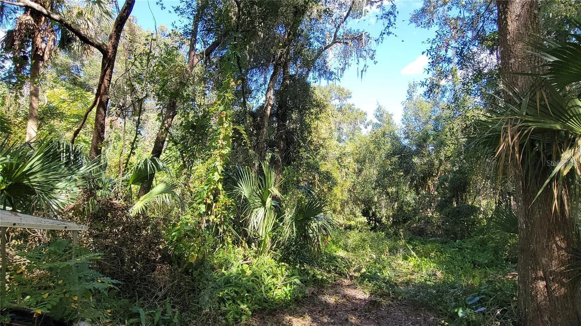 Lakeview Street Deland FL 32724