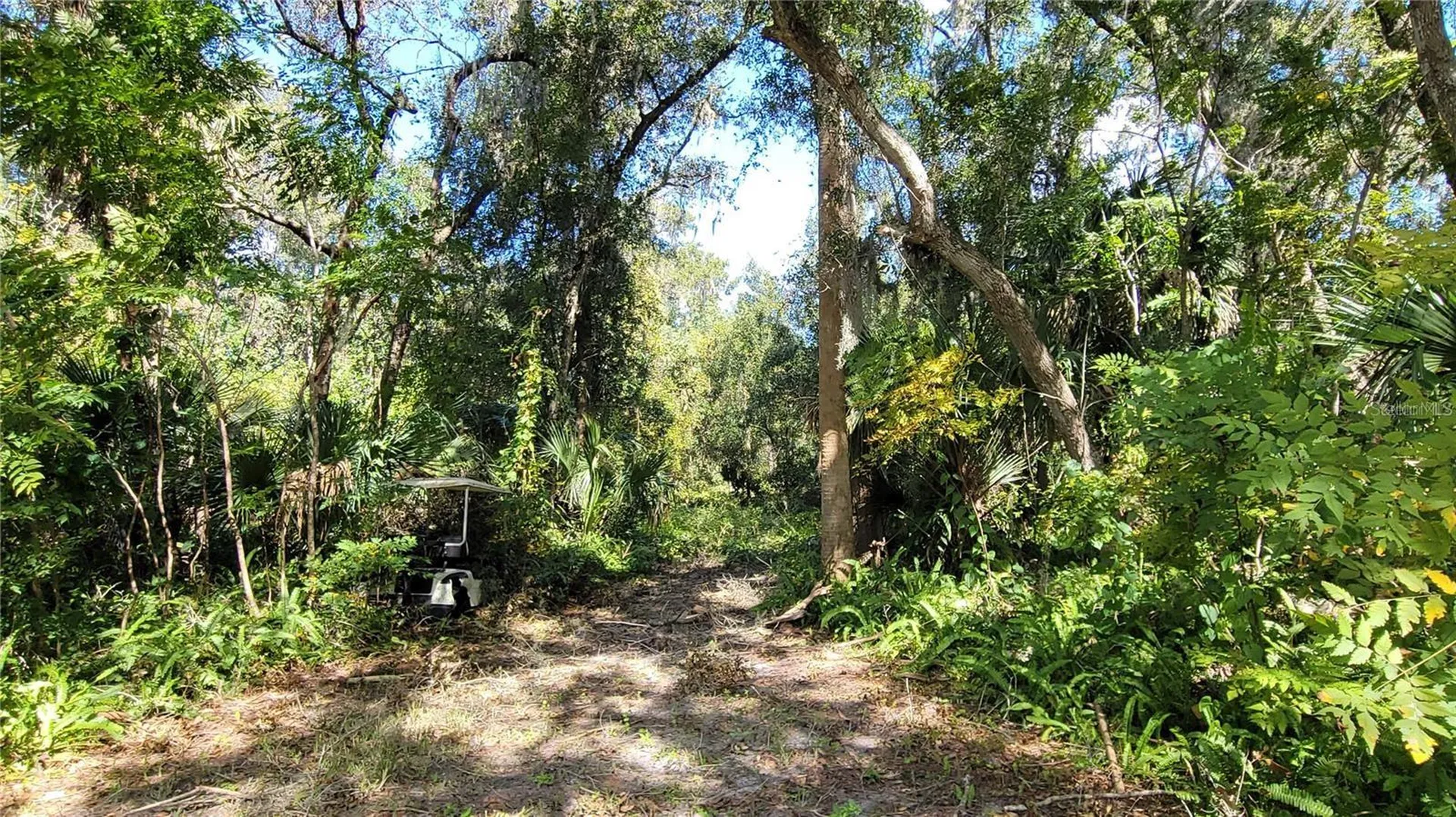 Lakeview Street Deland FL 32724