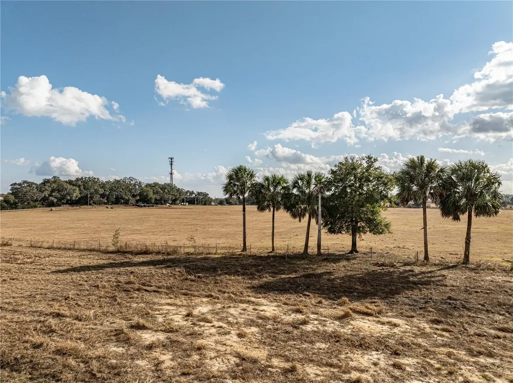County Road 101 Oxford FL 34484