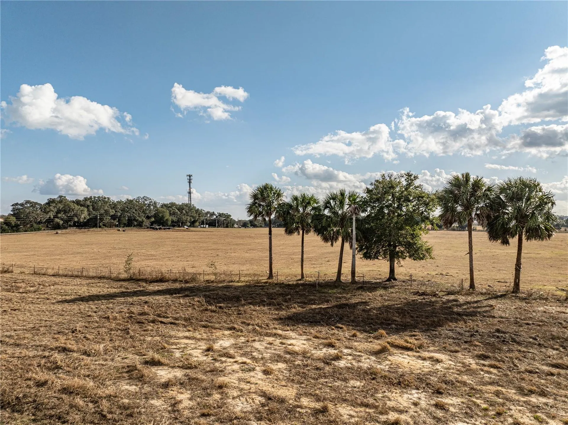 County Road 101 Oxford FL 34484