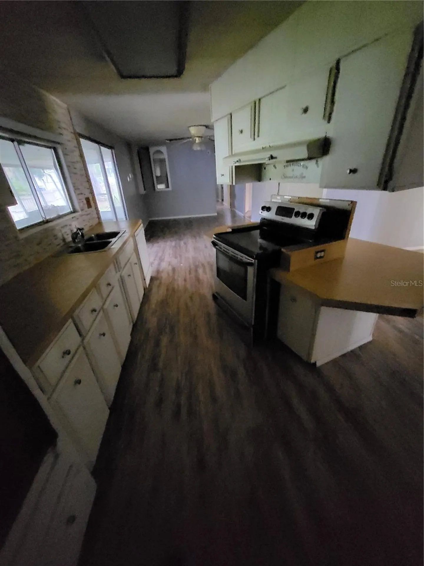 2377 NW 34th Place Lake Panasoffkee FL 33538
