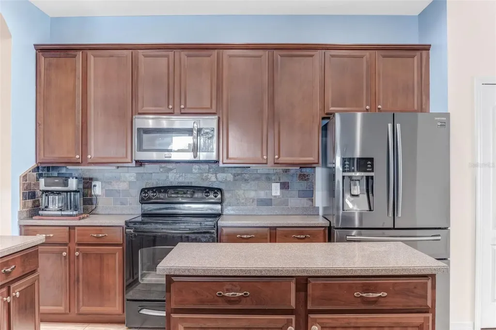 1511 Bonita Bluff Court Ruskin FL 33570