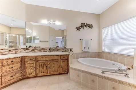 1511 Bonita Bluff Court Ruskin FL 33570
