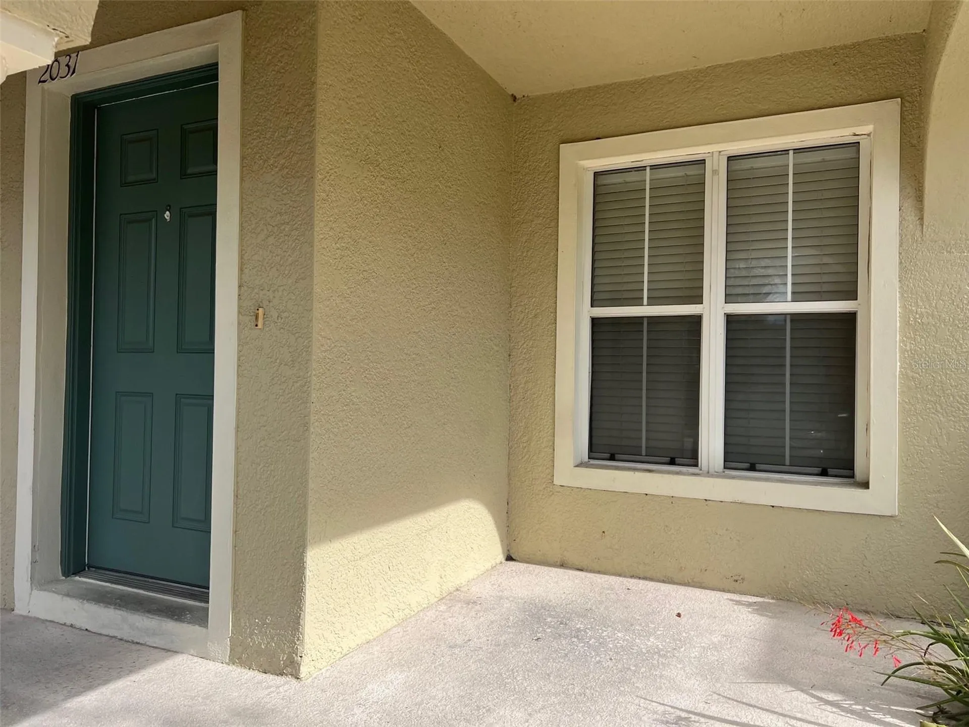 2031 Searay Shore Drive Clearwater FL 33763