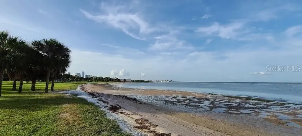 2502 Tropical Shores Drive SE St Petersburg FL 33705