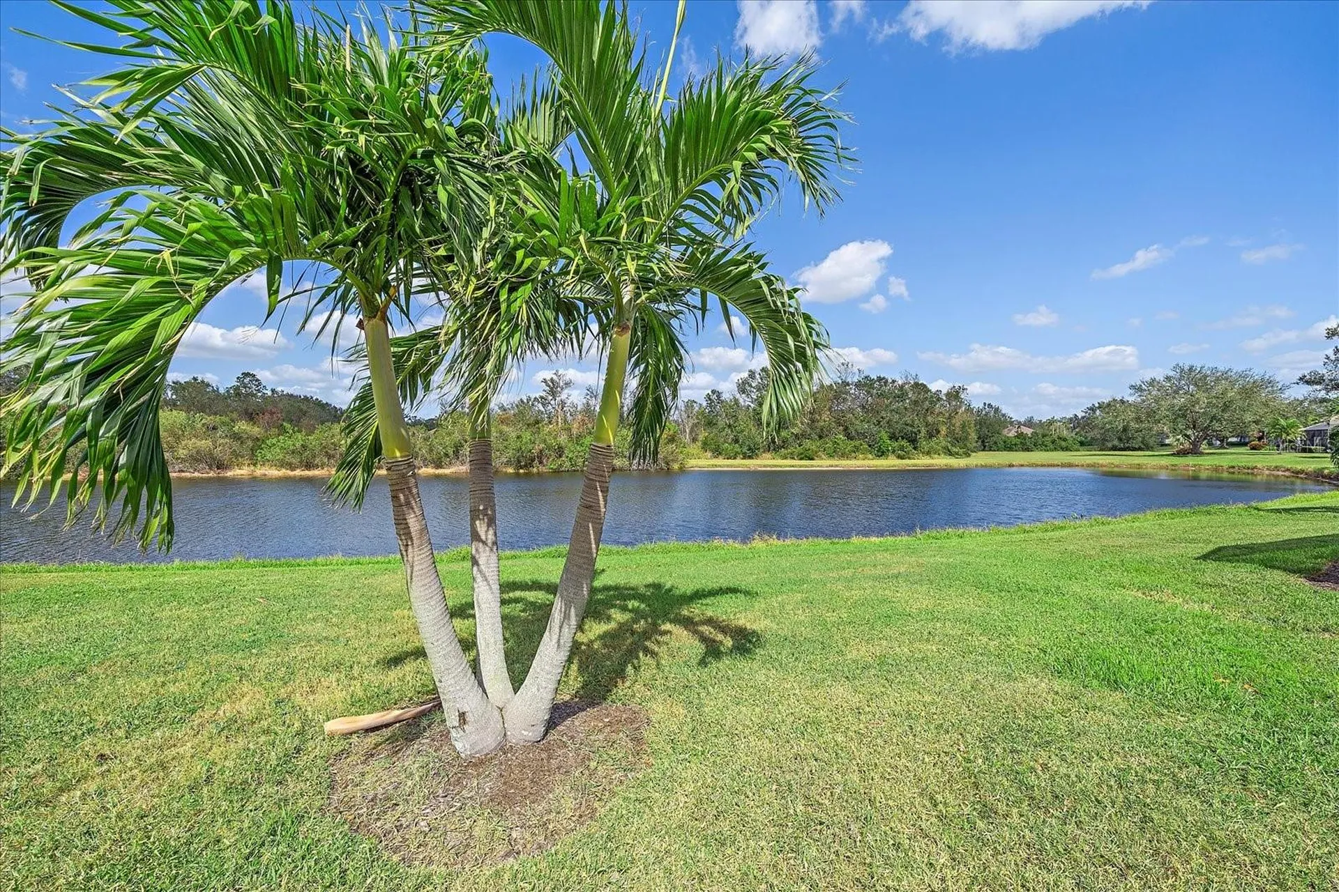 7011 Woodmore Terrace Lakewood Ranch FL 34202