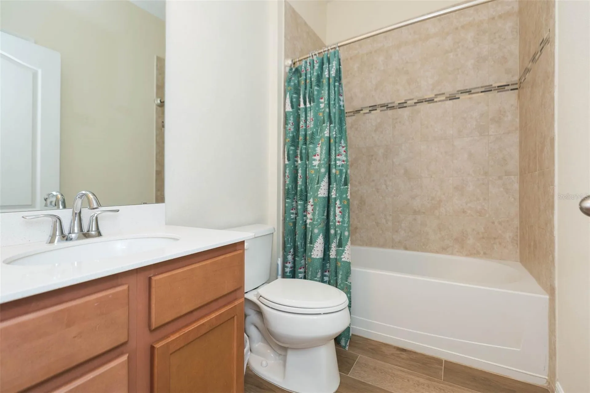 11241 Spring Point Circle Riverview FL 33579
