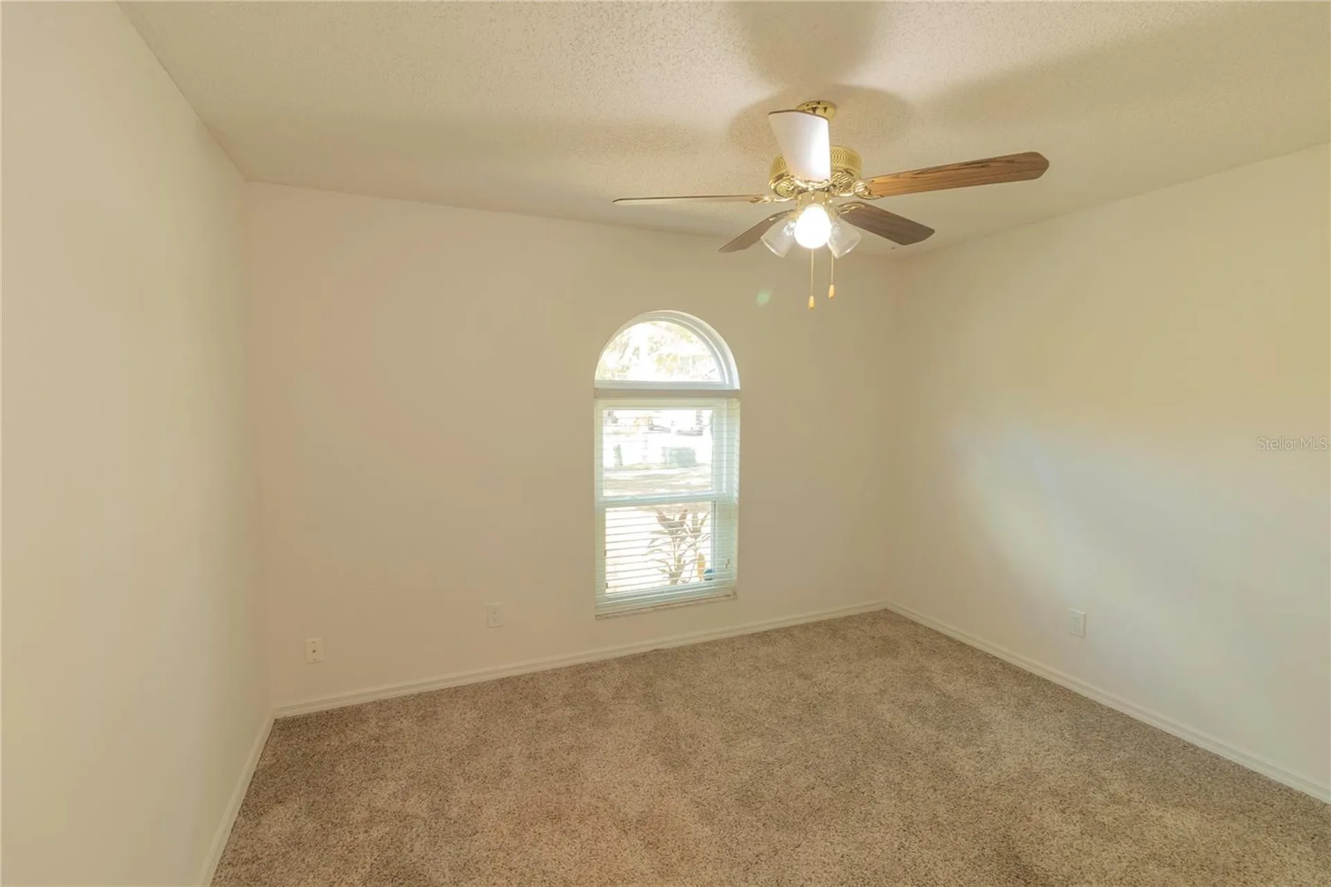 3908 Rosedale Drive Brandon FL 33511
