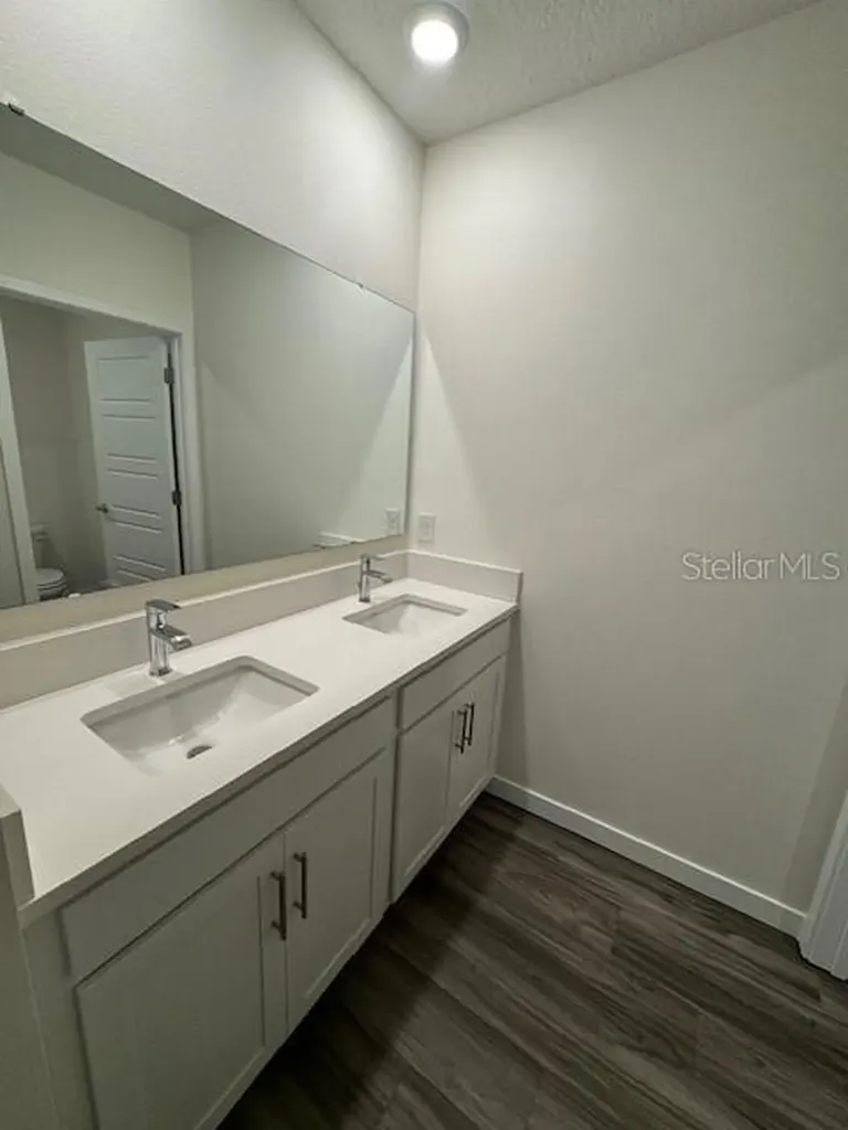 313 Talisi Loop St Cloud FL 34771
