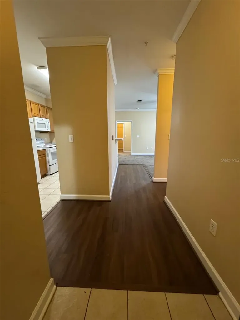 18575 Bridle Club Drive Tampa FL 33647