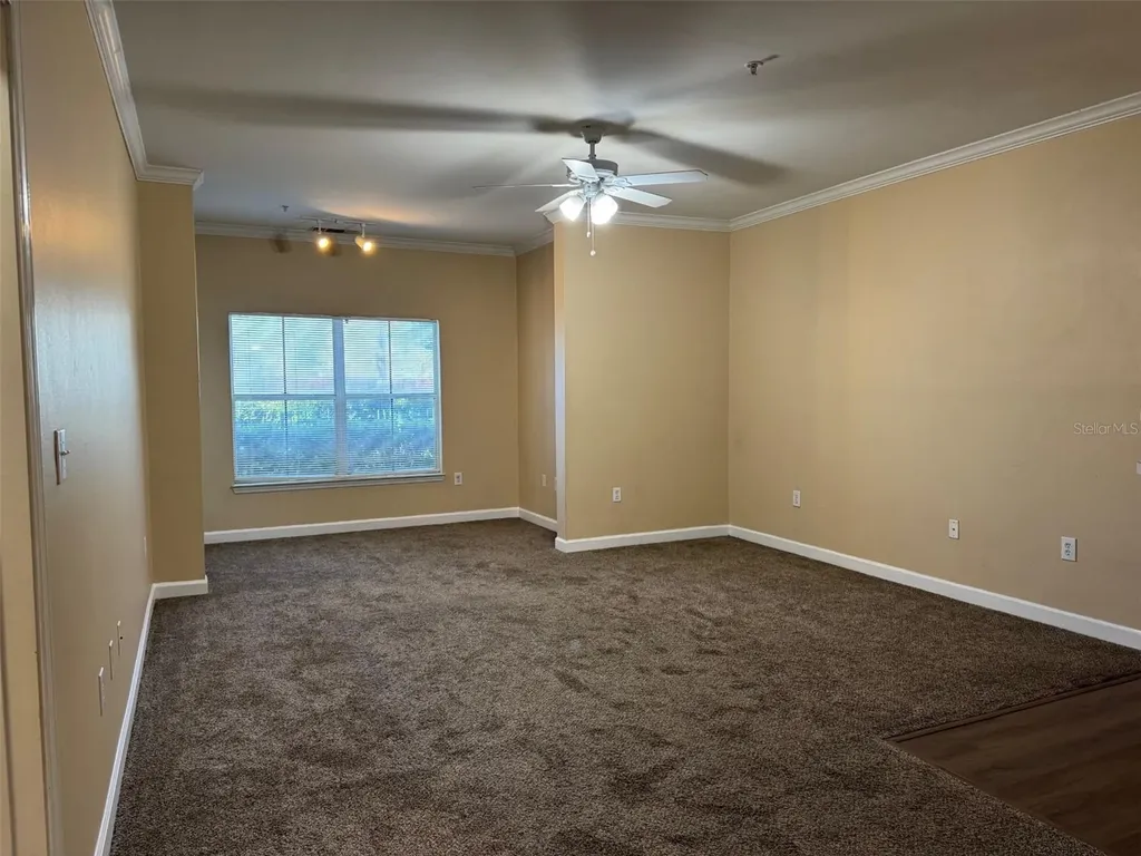 18575 Bridle Club Drive Tampa FL 33647
