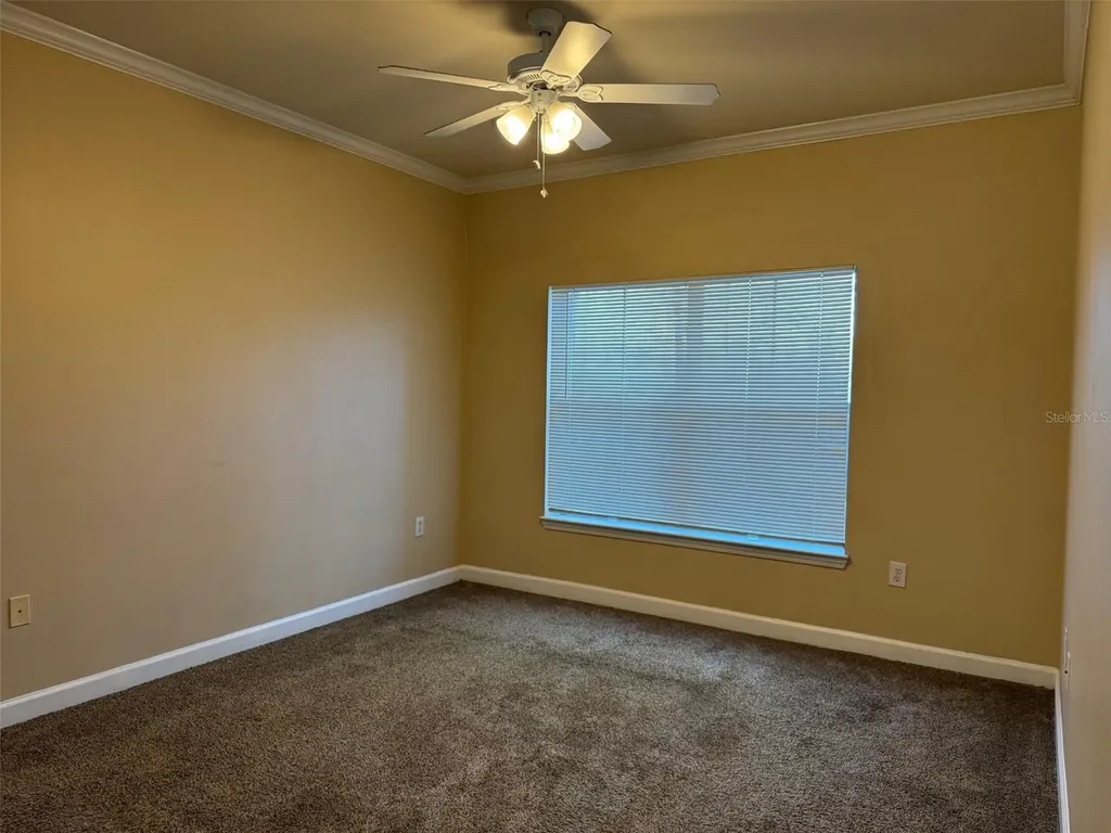 18575 Bridle Club Drive Tampa FL 33647
