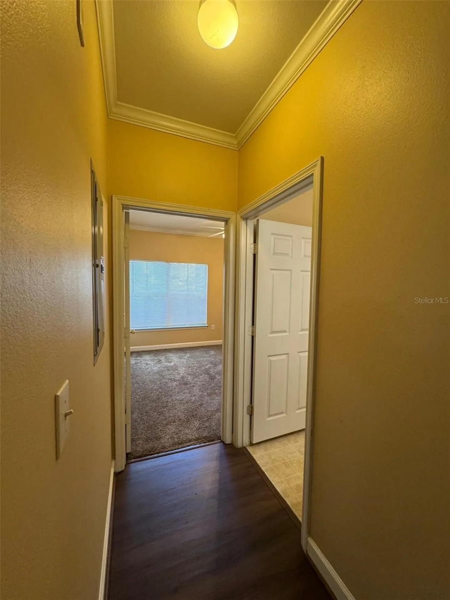 18575 Bridle Club Drive Tampa FL 33647