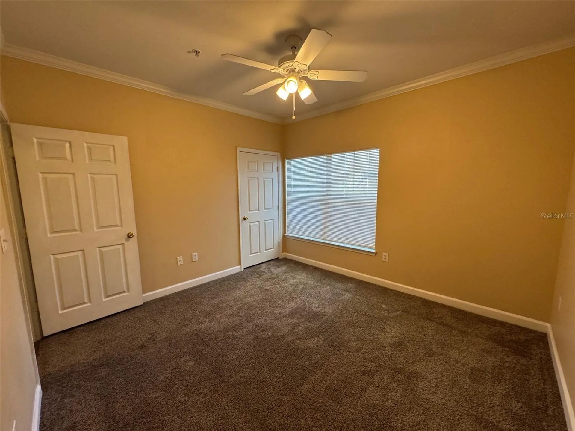 18575 Bridle Club Drive Tampa FL 33647
