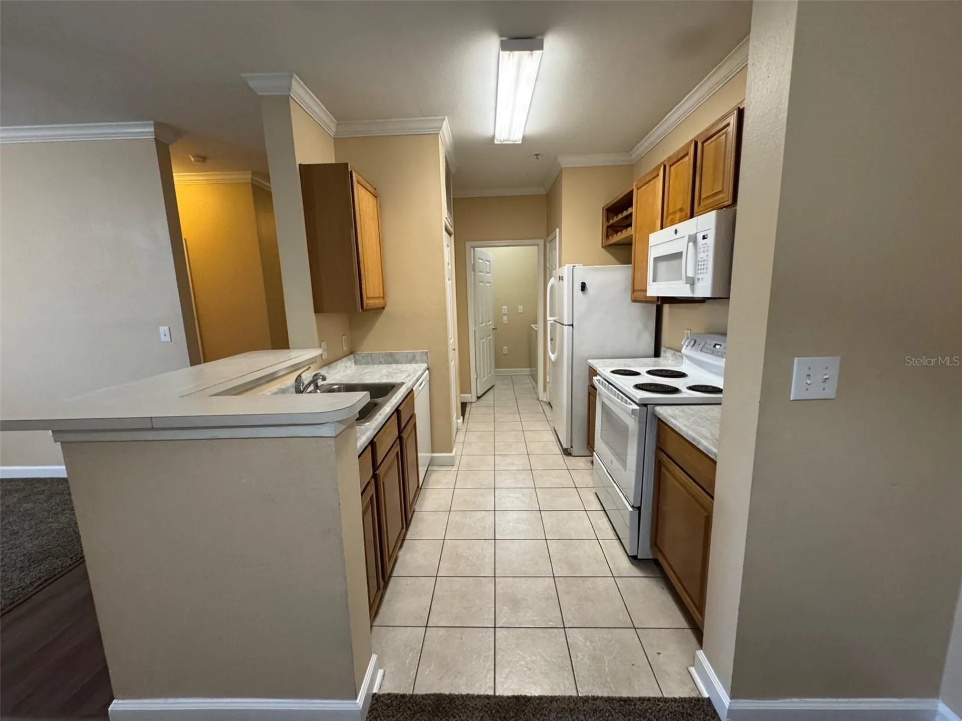 18575 Bridle Club Drive Tampa FL 33647