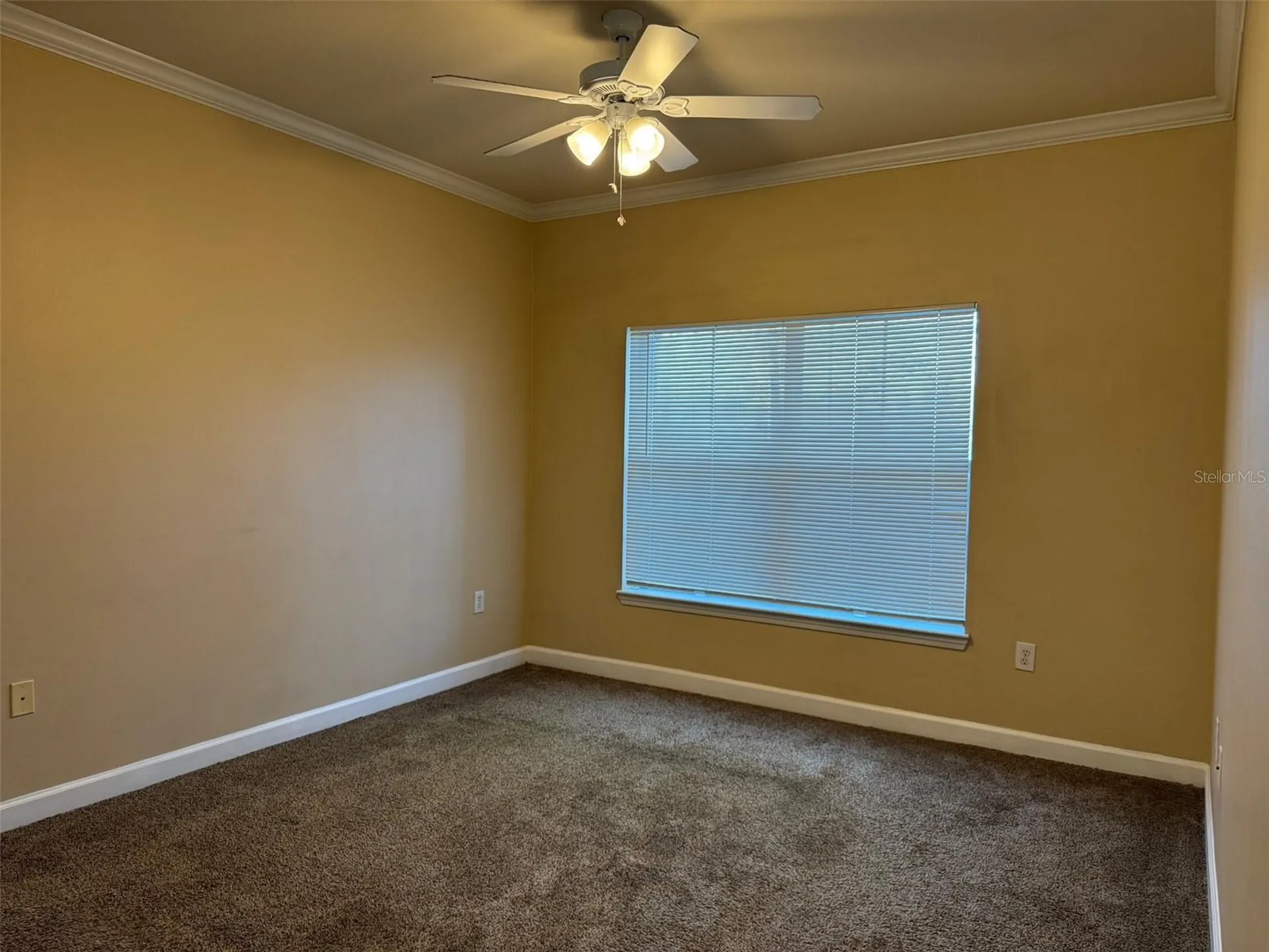 18575 Bridle Club Drive Tampa FL 33647