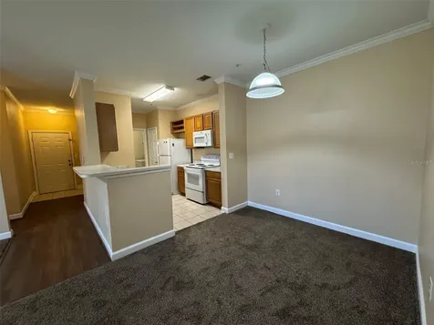 18575 Bridle Club Drive Tampa FL 33647