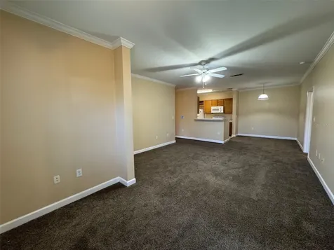 18575 Bridle Club Drive Tampa FL 33647