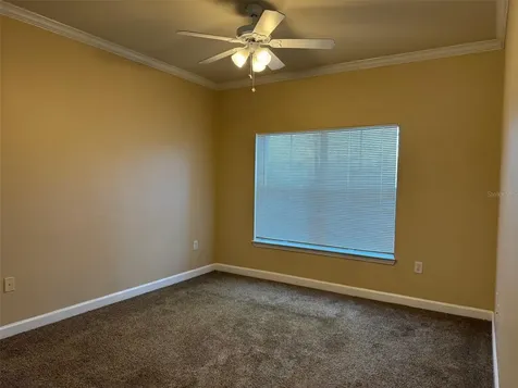 18575 Bridle Club Drive Tampa FL 33647