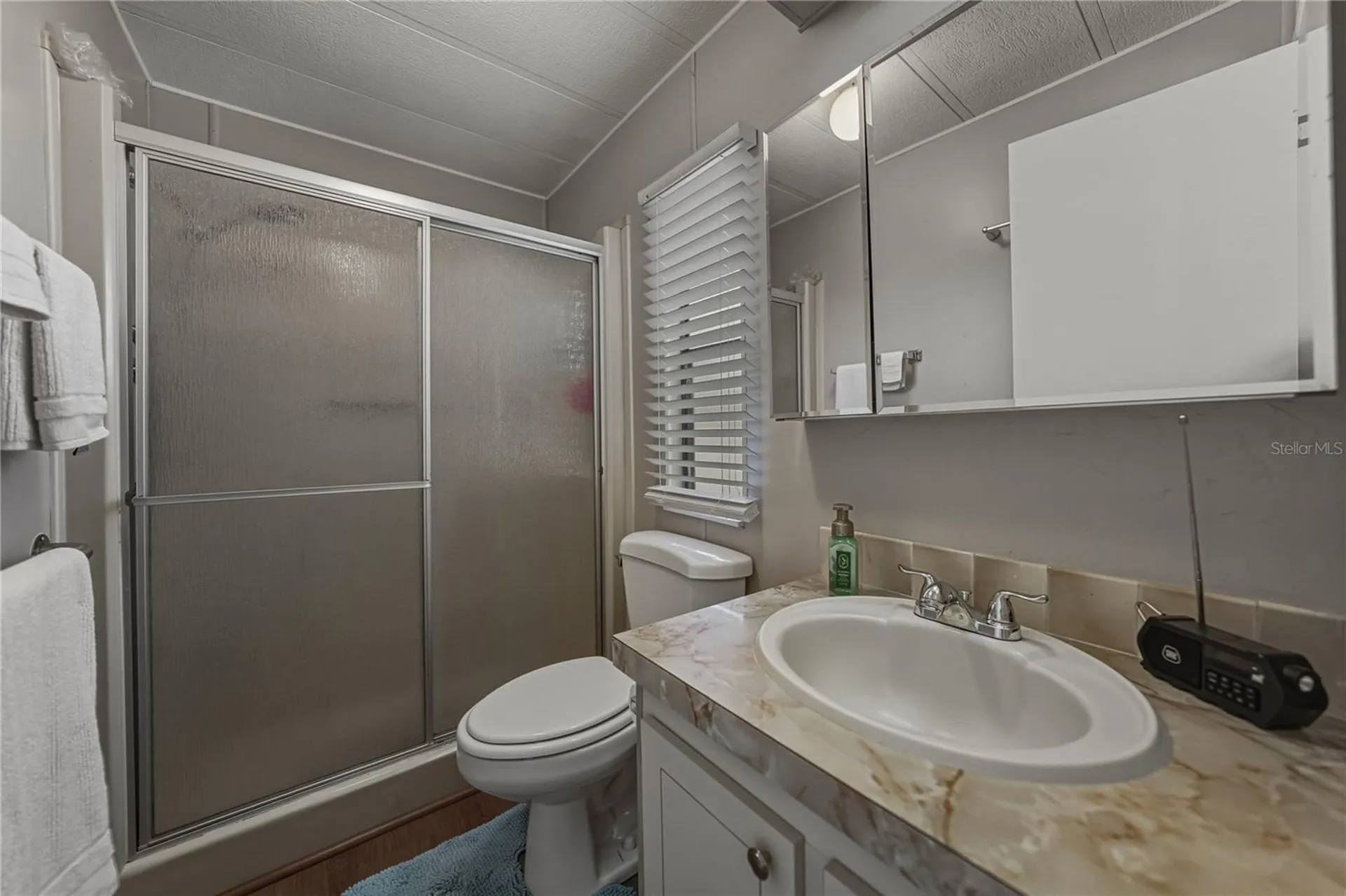 35122 Mcculloughs Leap Zephyrhills FL 33541