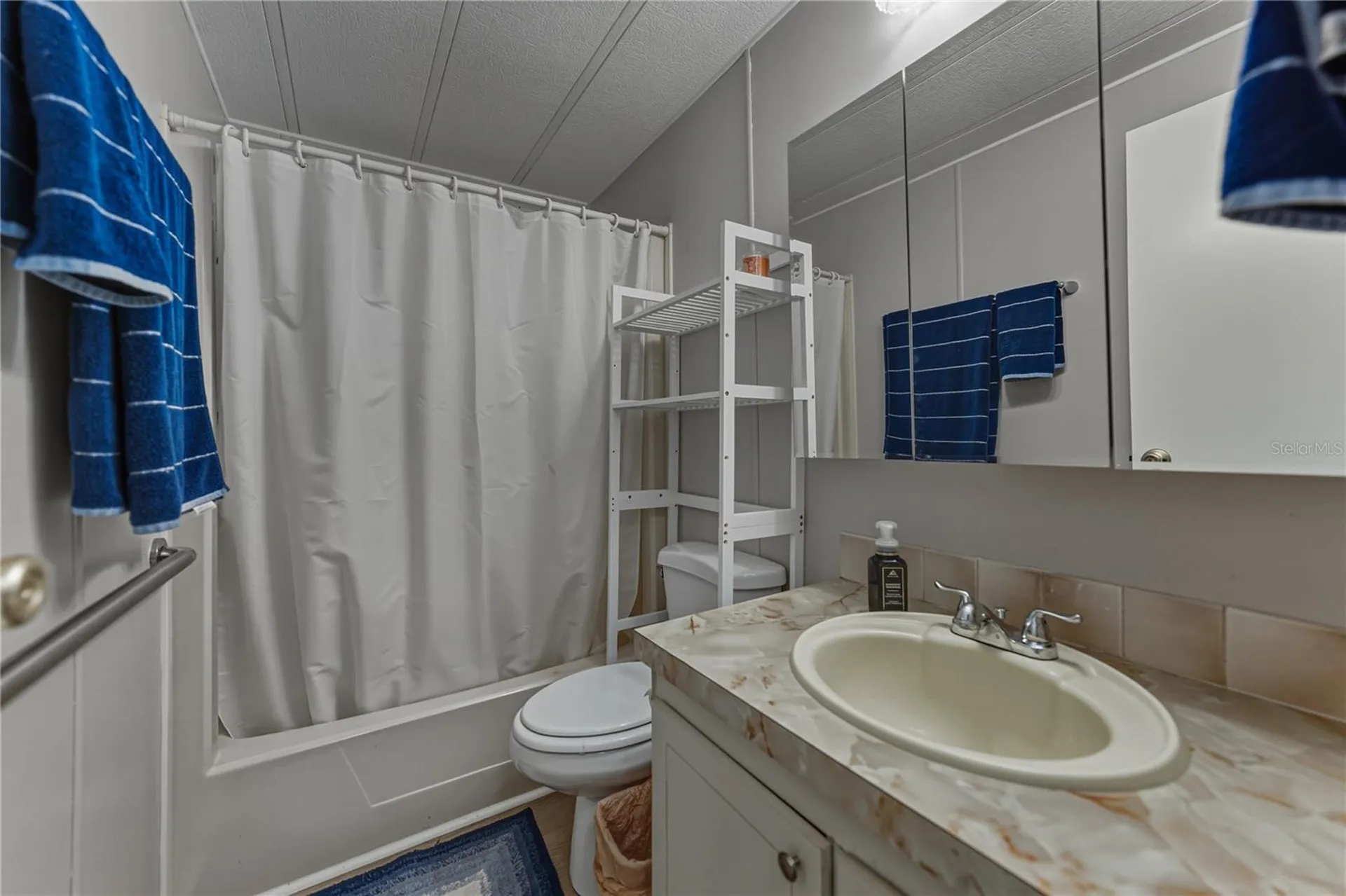 35122 Mcculloughs Leap Zephyrhills FL 33541