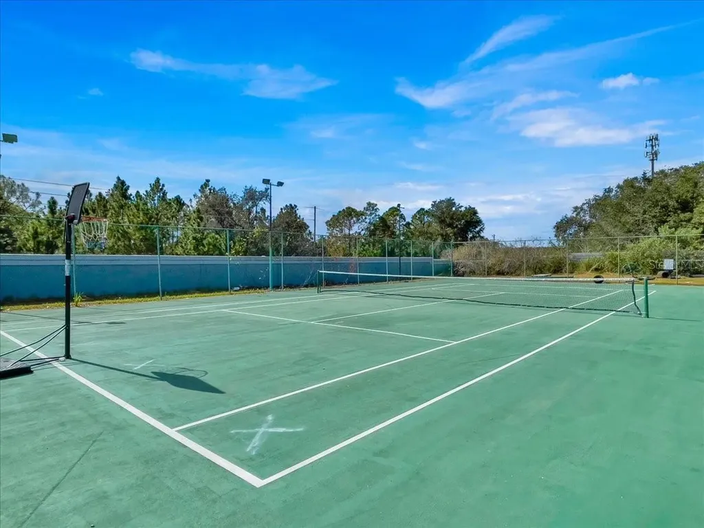 203 Coco Plum Drive Davenport FL 33897