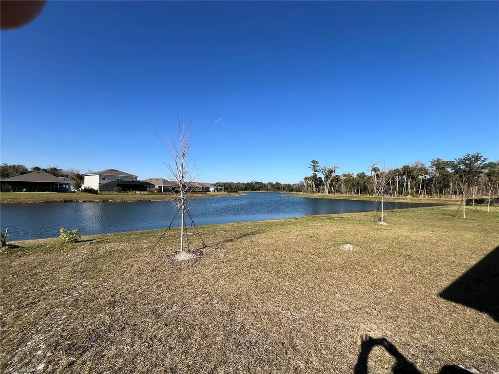 2219 Lake Preserve Circle New Smyrna Beach FL 32168