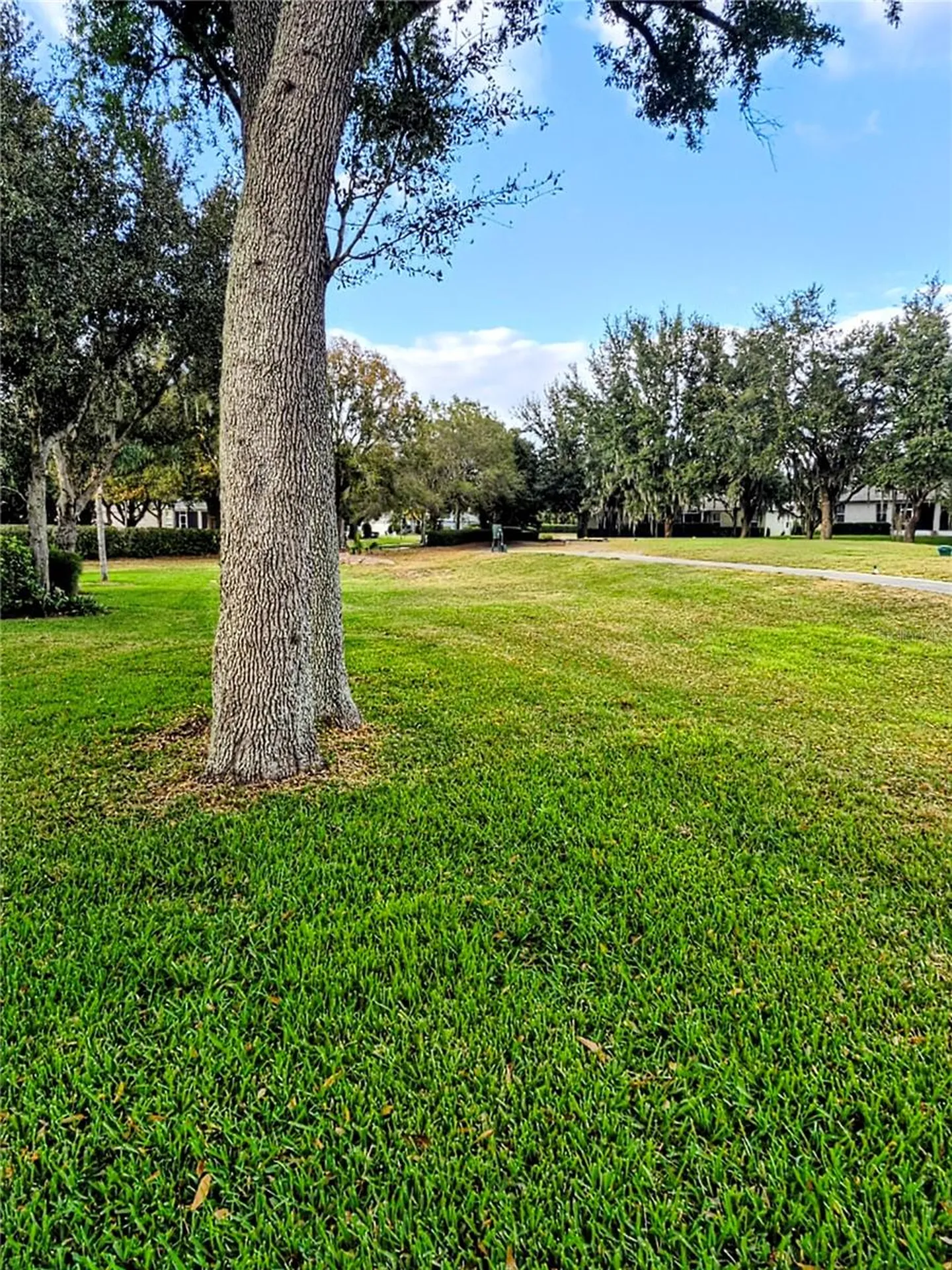 26822 Bull Run Leesburg FL 34748