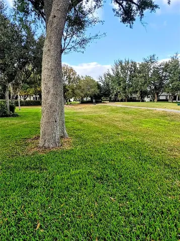 26822 Bull Run Leesburg FL 34748