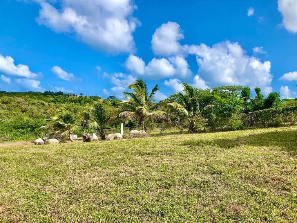 63 Route 201 Vieques PR 00765