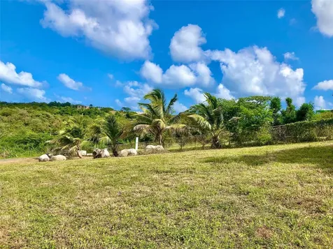 63 Route 201 Vieques PR 00765