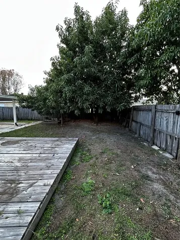 12104 Florida Woods Lane Orlando FL 32824