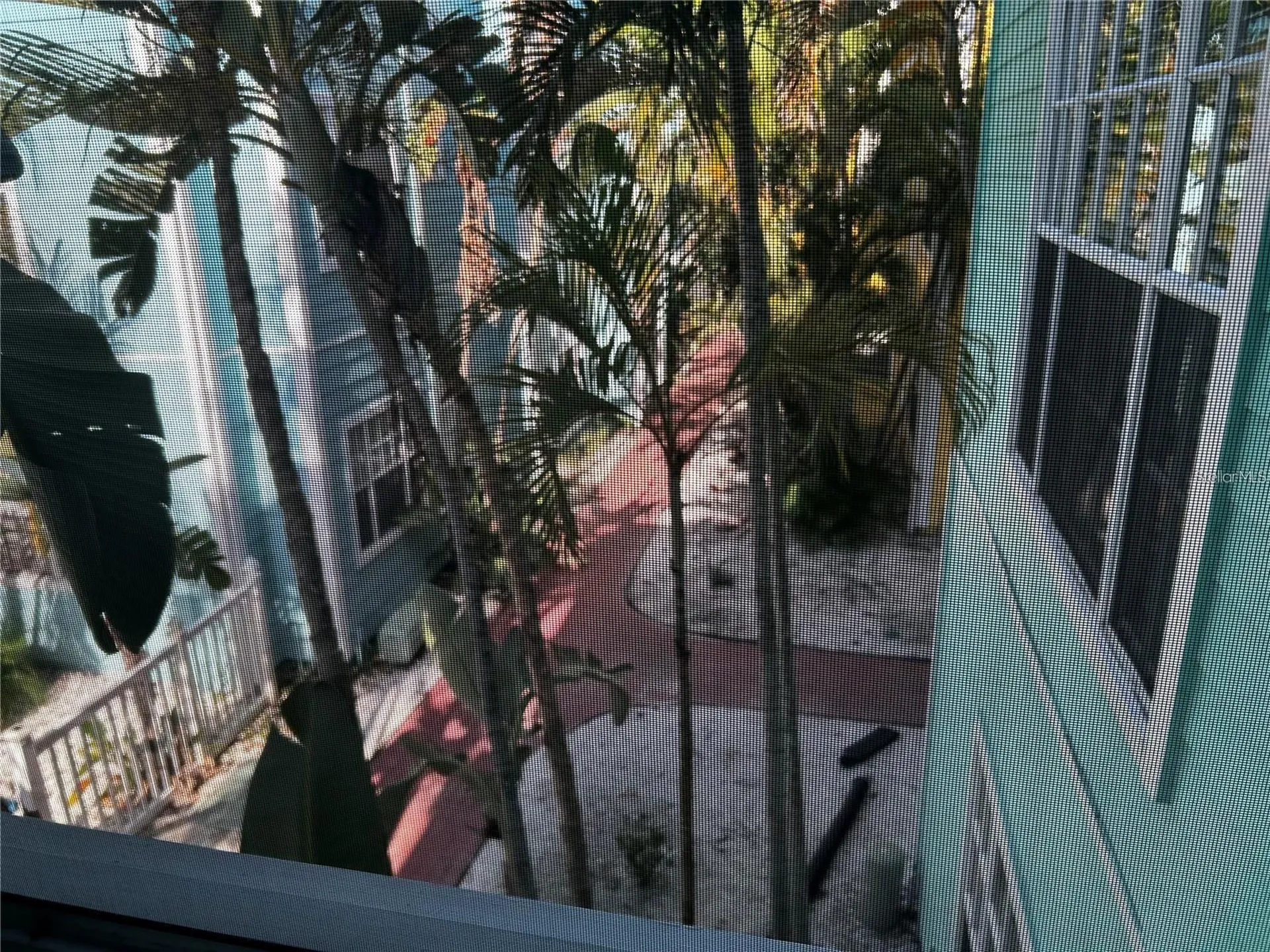 3002 W Cleveland Street Tampa FL 33609